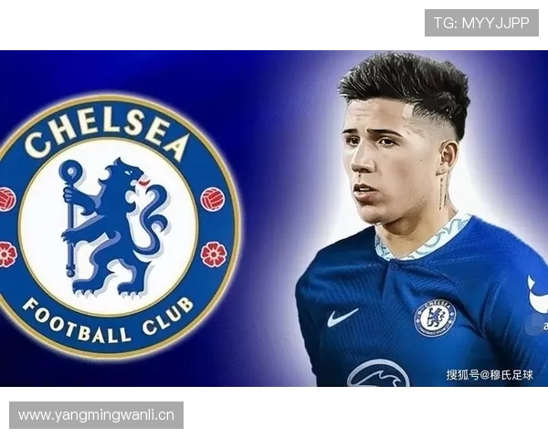 恩佐转会费是否溢价：战术价值与市场定价的匹配度分析