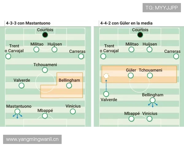 贝林厄姆皇马首赛季爆发：战术适配与数据表现解析