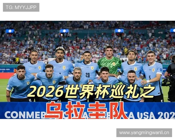 乌拉圭世界杯历史战绩回顾